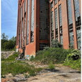 IMG 7868 copy