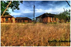  MG 0802 3 4 tonemapped copy