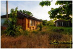  MG 0837 copy
