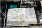  MG 1154