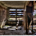Untitled Panorama-1