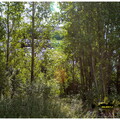  MG 7523 copy