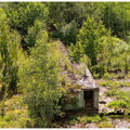  MG 7583 copy