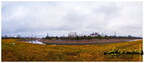 Untitled Panorama1 copy