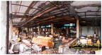 Untitled Panorama4 copy