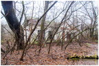  MG 0657 copy