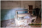  MG 0658 copy