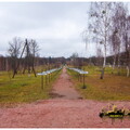  MG 0738 copy