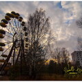  MG 0893 copy
