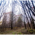  MG 0923 copy