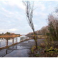  MG 0986 copy