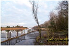  MG 0986 copy