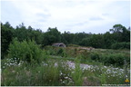 IMG 4454