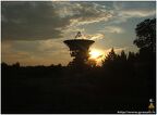 DSCF2318