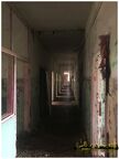 IMG 9756