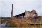  MG 0560 copy