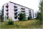 IMG 0536
