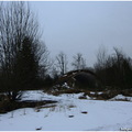 IMG 0717