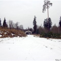 IMG 0729