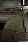 IMG 7887