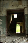 IMG 7888