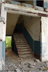 IMG 7919