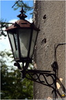 IMG 0115