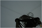 IMG 5539