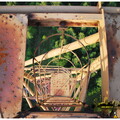 DSC 0177