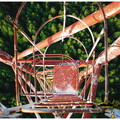 DSC 0284