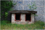 DSC 0330
