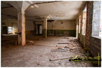  MG 0767 copy