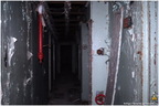IMG 4759