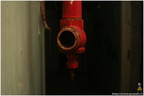 IMG 4793