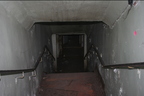 IMG 4861