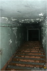 IMG 8696