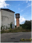 IMG 7532