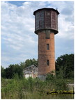 IMG 7562