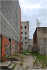 DSC 0393
