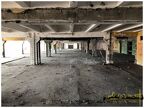IMG 6956