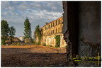  MG 3876 copy