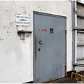 IMG 9852