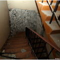 IMG 7728