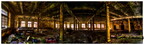 Untitled Panorama-1