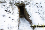  MG 2147 copy