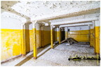  MG 2154 copy