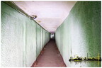  MG 2218 copy