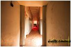  MG 2251 copy