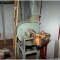 IMG 4094