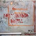 IMG 7987